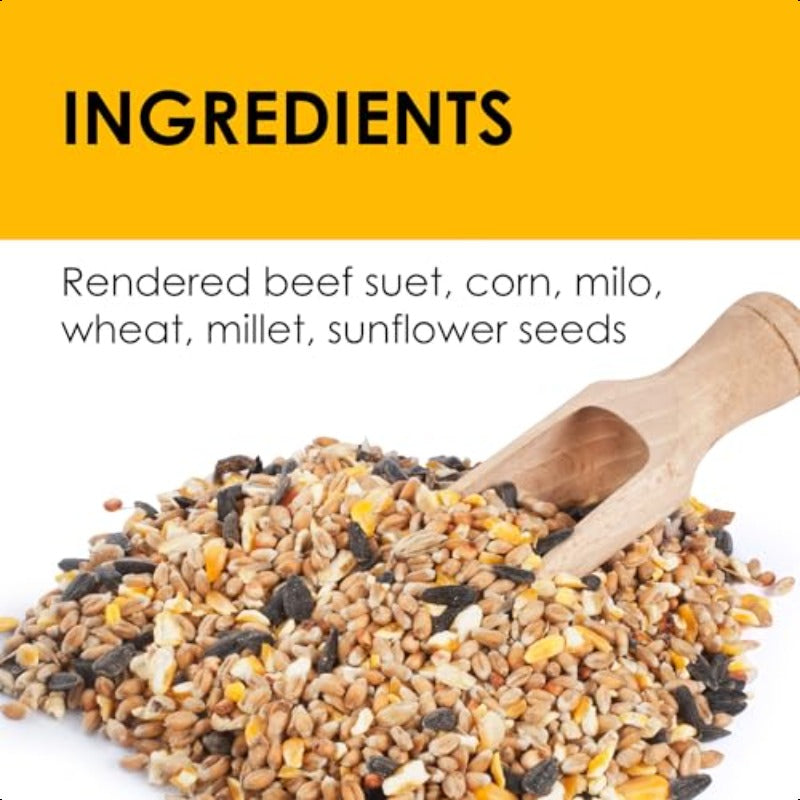 DD412 Heath Bird Suet Yellow 11.25 Ounce Pack of 12, Bird Food, Wildlife Feeding, Bulk Packaging, Simple Design, Durable Packaging, Plastic Container, Treat for Birds, Feeder Pack, Avian Caretakers, Wildlife Lovers