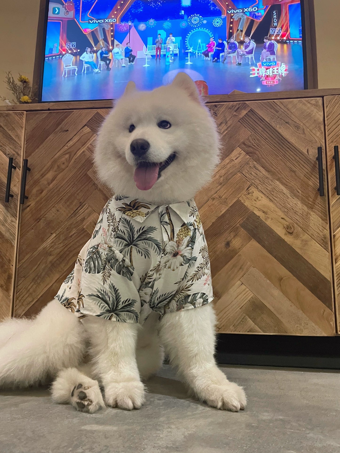 Dog Owner Parent-Child Clothes Hawaii Vacation Style Samoyed Golden Retriever/Border Collie Medium Large Dog Pet Clothes