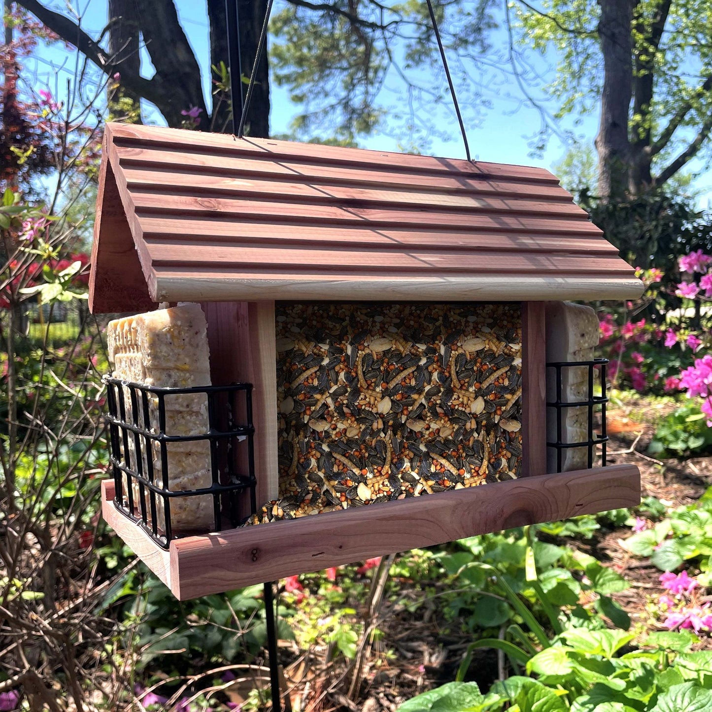 1 Pack (11.75oz) High-Fat Dry Suet Cakes - Nutty Flavor Wild Bird Food, Attracts Titmice, Nuthatches, Chickadees, Woodpeckers | No Waste Formula, Year-Round Feeding, Easy-to-Use Outdoor Treat for Backyard Bird Feeders | Batte