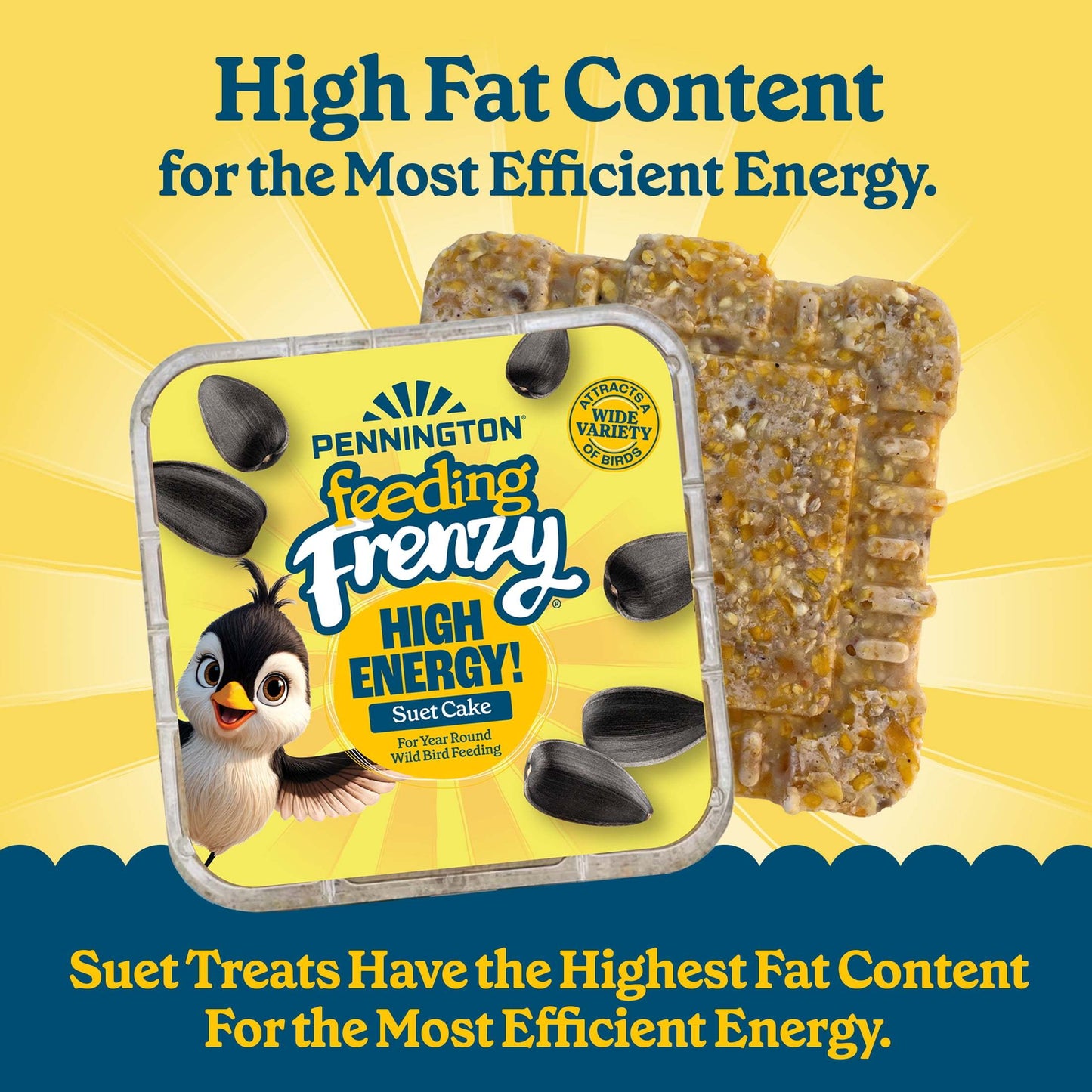 1-Pack (11.75oz) High-Energy Suet Cake with Whole Sunflower - Heavy-Duty Bird Food for Winter, Nesting, Migration - Attracts Cardinals, Chickadees, Woodpeckers, Titmice - Long-Lasting Formula, Easy-to-Use Suet Feeder Cake - A