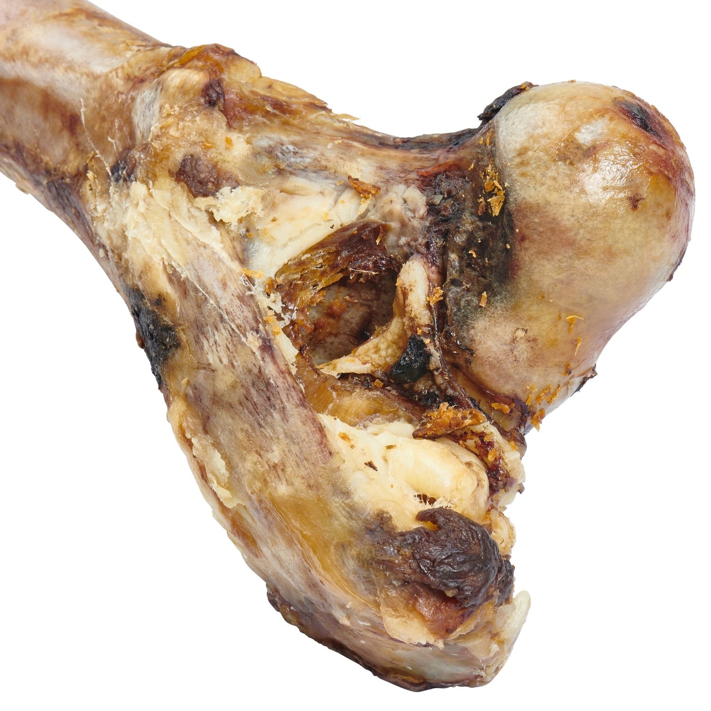 Giant Dog Bone - Grass - Fed Beef Femur Bone for Large Dogs - One Stop Shop 4 Pets