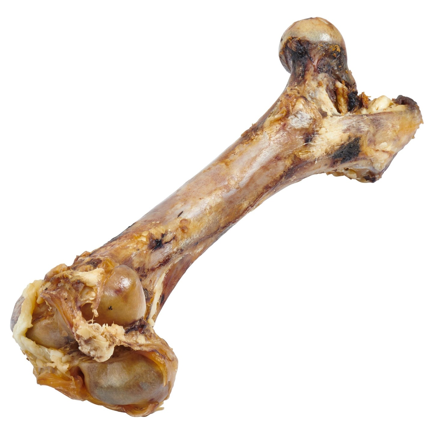 Giant Dog Bone - Grass - Fed Beef Femur Bone for Large Dogs - One Stop Shop 4 Pets