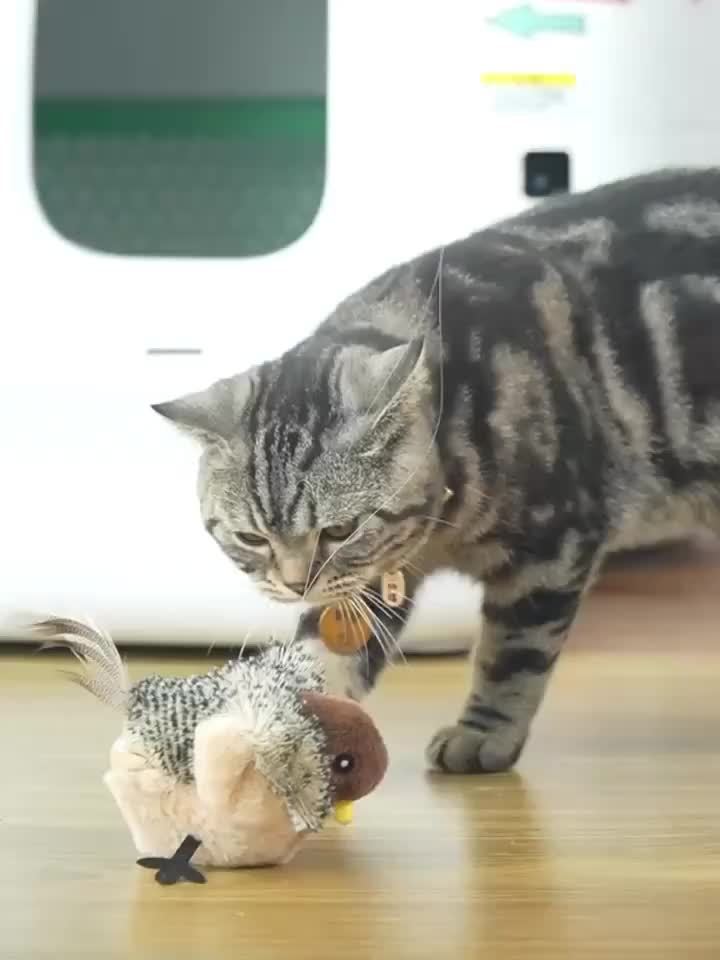 Interactive Flying Bird Cat Toy Flapping Wings Chirping, Cat Toys, Cat Toys For Indoor Cats, Fidget Toys, Interactive Cat Toy, Kitten Toys, Pet Toys, Bird Plush, Chirping Birds, Without Battery