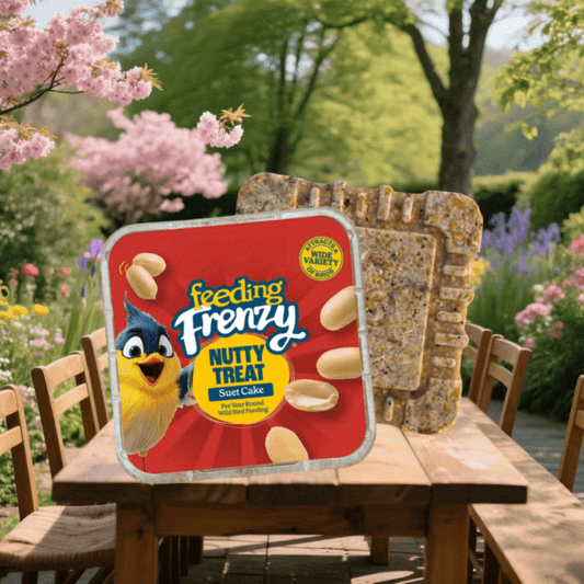 1 Pack (11.75oz) High-Fat Dry Suet Cakes - Nutty Flavor Wild Bird Food, Attracts Titmice, Nuthatches, Chickadees, Woodpeckers | No Waste Formula, Year-Round Feeding, Easy-to-Use Outdoor Treat for Backyard Bird Feeders | Batte