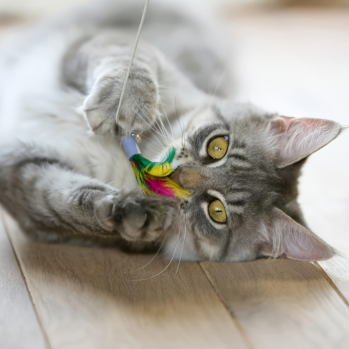 Interactive Cat Toys Including a Retractable Wand And Assorted Feather Refills, Designed to Keep Indoor Cats Entertained And Active, Without Battery
