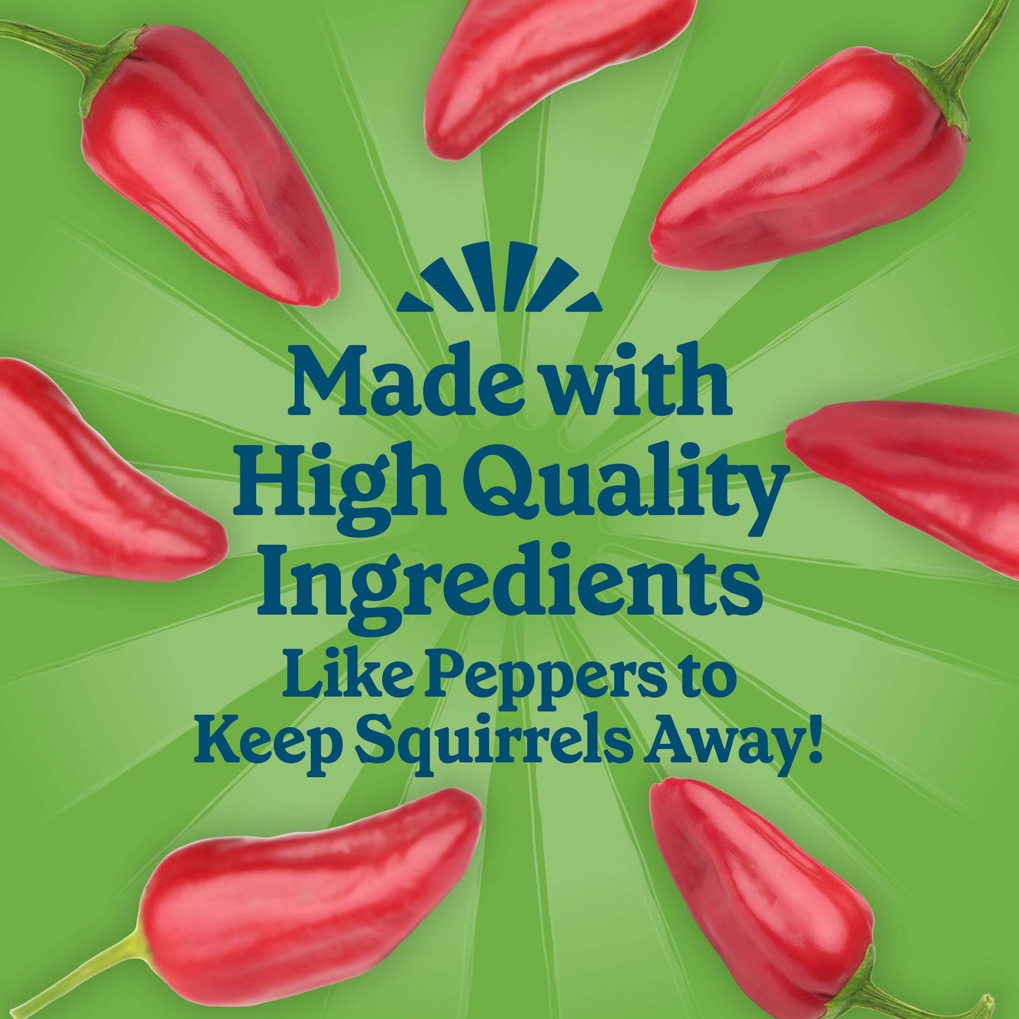 1 Pack No Melt Suet Dough Bird Food - Hot Pepper Formula with Red Pepper & Suet, High-Fat Wild Bird Suet Cake | Squirrel & Backyard Pest Deterrent, Attracts Cardinals, Wrens, Chickadees, Nuthatches | Year-Round Feeding, Easy-