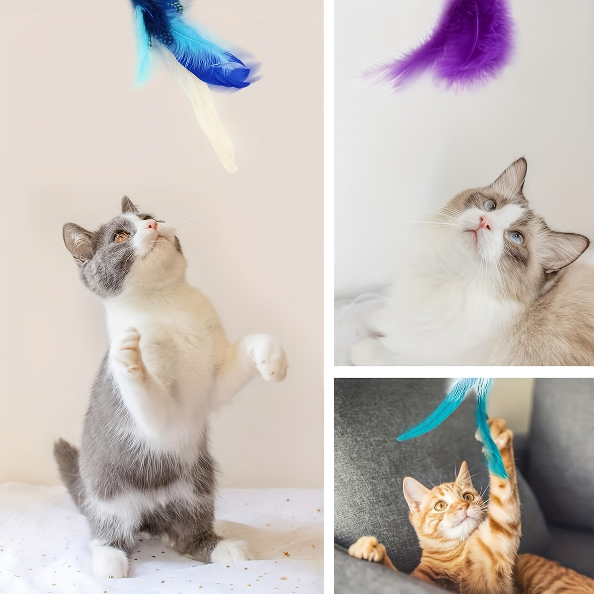 Interactive Cat Toys Including a Retractable Wand And Assorted Feather Refills, Designed to Keep Indoor Cats Entertained And Active, Without Battery