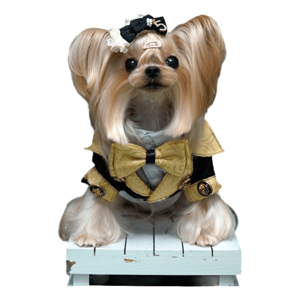 Royal Pup Couture Dog Suit Pet Tuxedo+Shirt - One Stop Shop 4 Pets