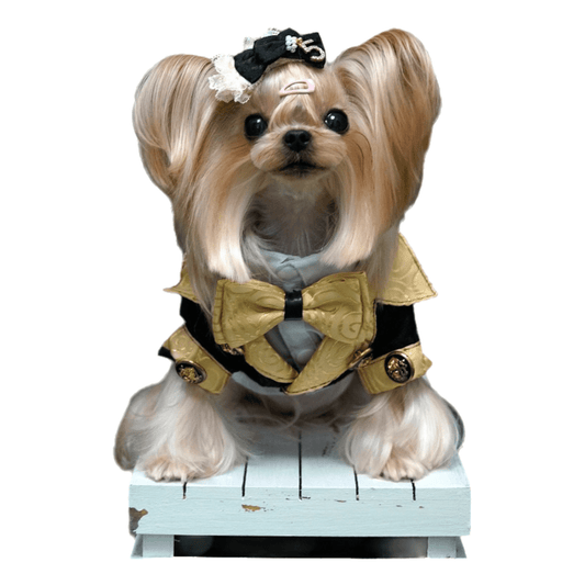 Royal Pup Couture Dog Suit Pet Tuxedo+Shirt - One Stop Shop 4 Pets