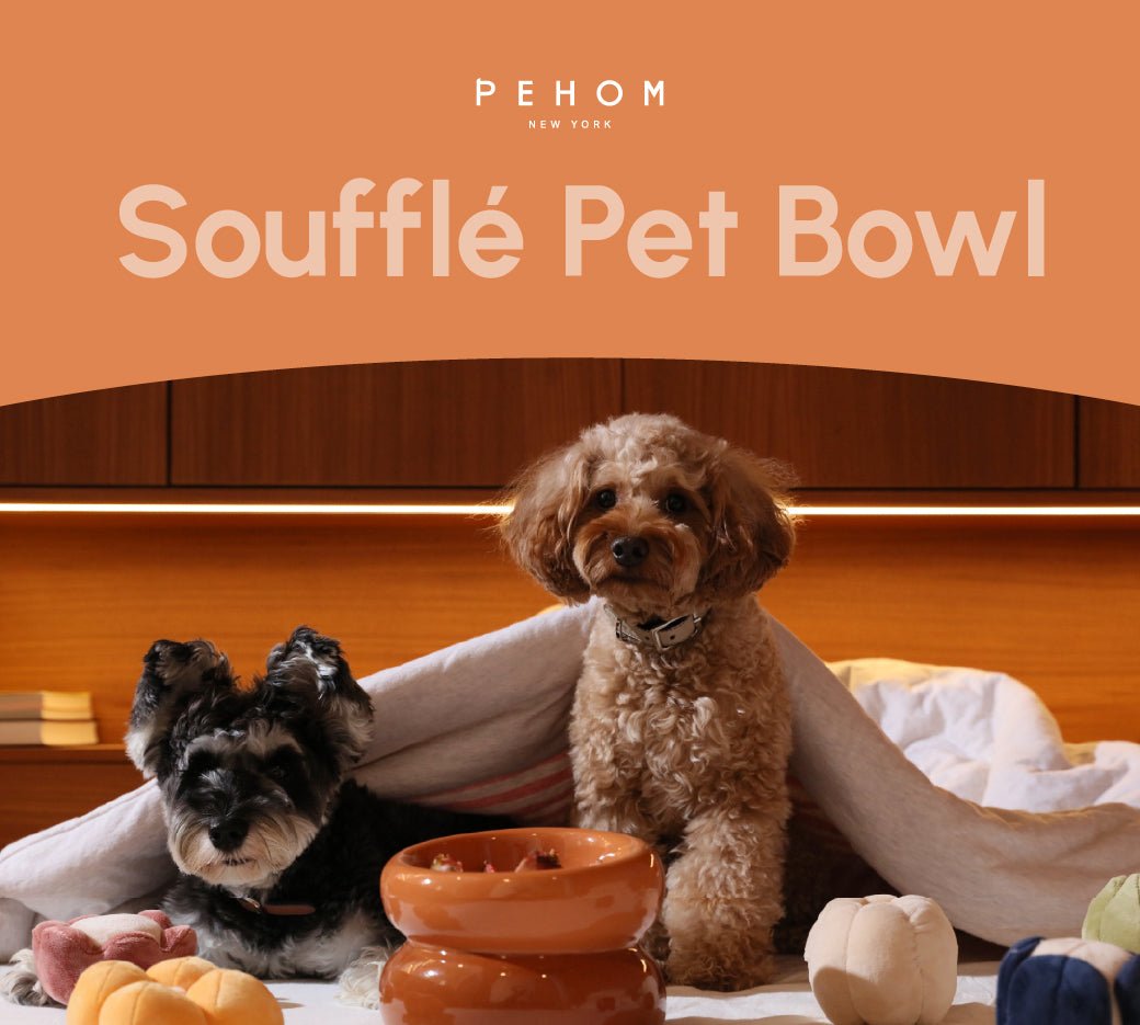 Soufflé Pet Bowl - Amber Orange - One Stop Shop 4 Pets