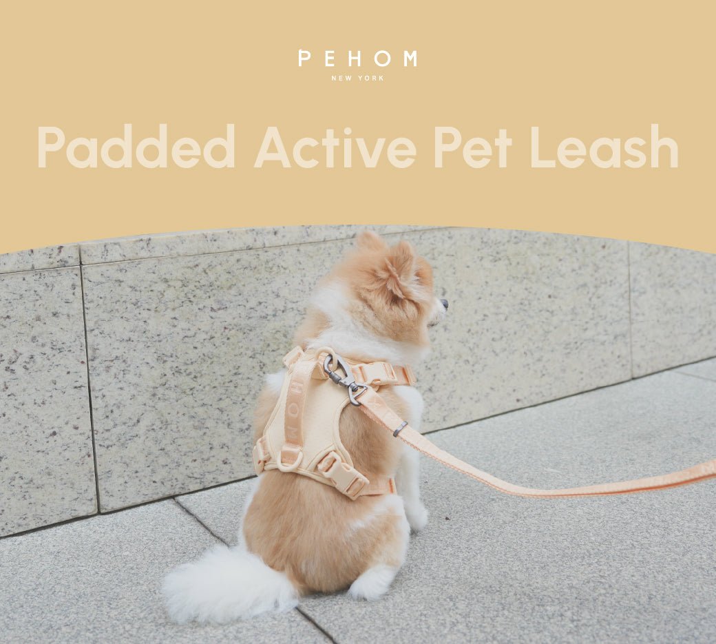 PADDED ACTIVE PET LEASH - APRICOT - One Stop Shop 4 Pets