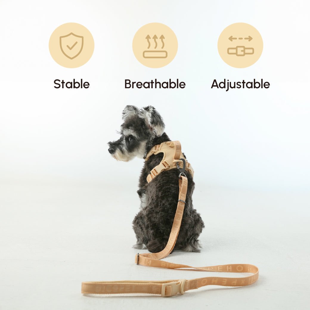 PADDED ACTIVE PET LEASH - APRICOT - One Stop Shop 4 Pets