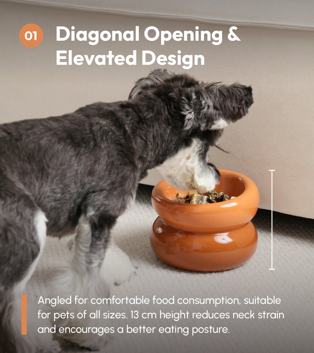 Soufflé Pet Bowl - Amber Orange - One Stop Shop 4 Pets