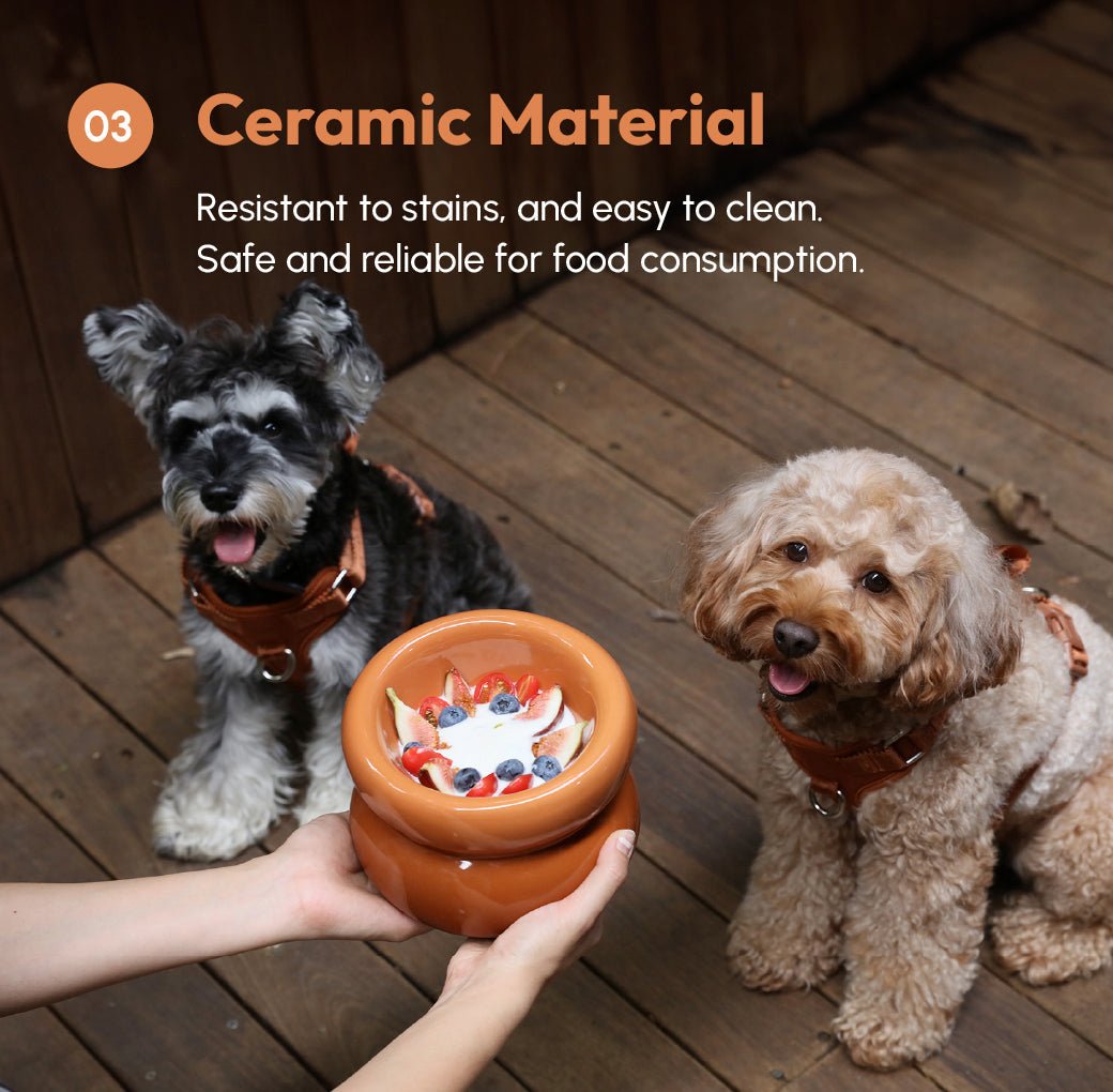 Soufflé Pet Bowl - Amber Orange - One Stop Shop 4 Pets