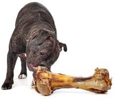 Giant Dog Bone - Grass - Fed Beef Femur Bone for Large Dogs - One Stop Shop 4 Pets