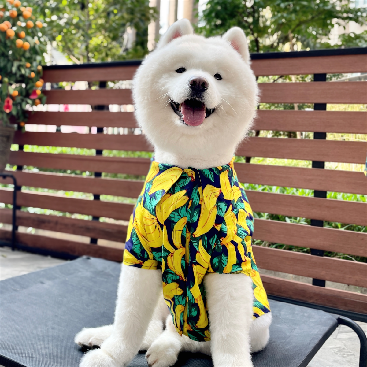 Dog Owner Parent-Child Clothes Hawaii Vacation Style Samoyed Golden Retriever/Border Collie Medium Large Dog Pet Clothes