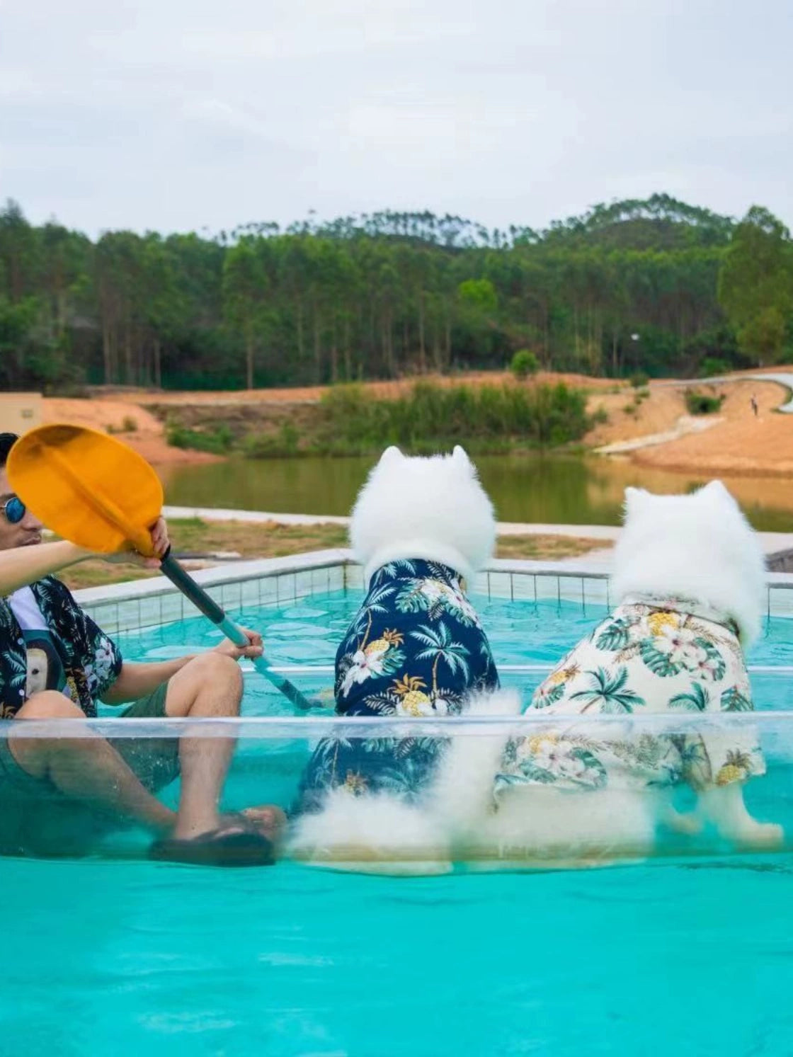 Dog Owner Parent-Child Clothes Hawaii Vacation Style Samoyed Golden Retriever/Border Collie Medium Large Dog Pet Clothes