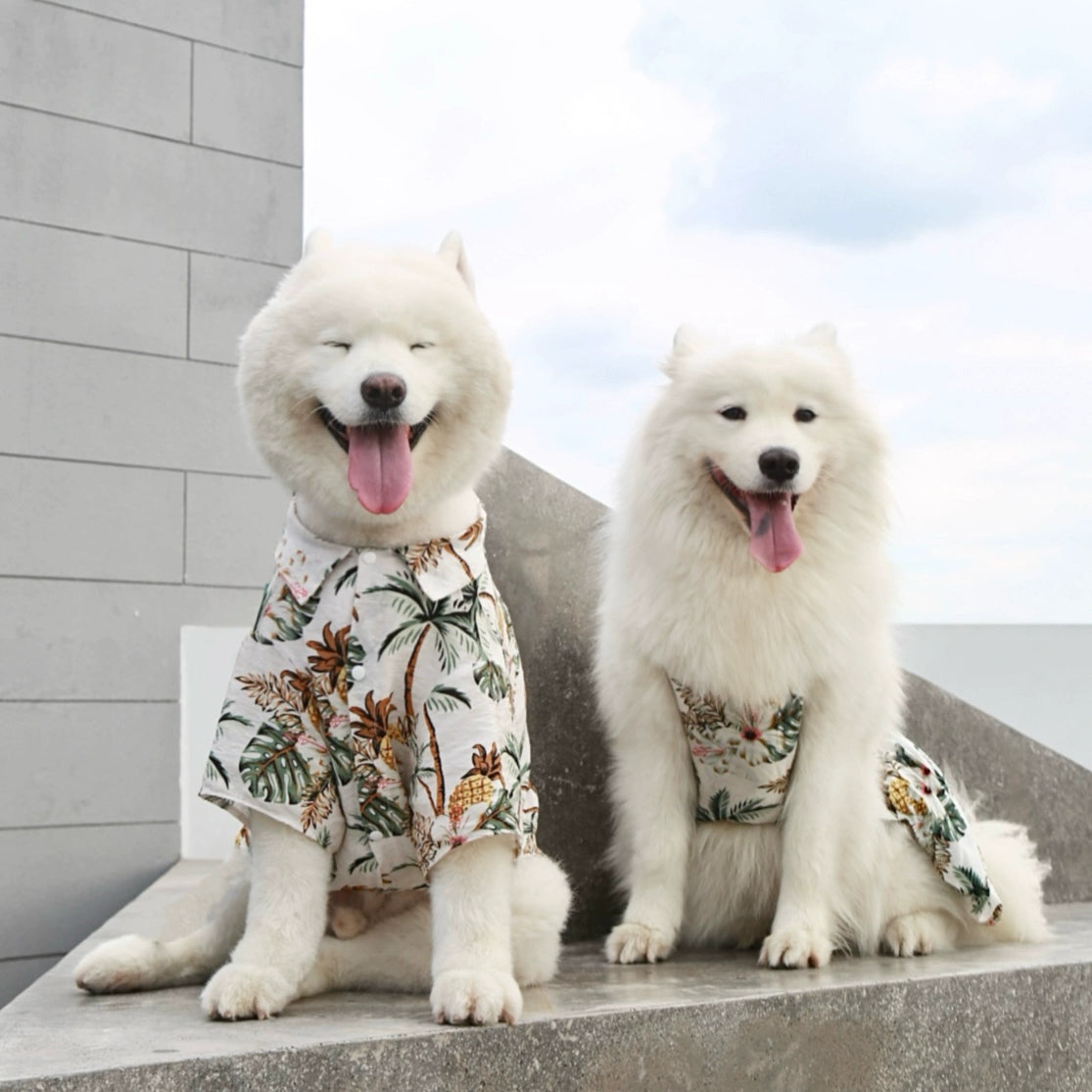 Dog Owner Parent-Child Clothes Hawaii Vacation Style Samoyed Golden Retriever/Border Collie Medium Large Dog Pet Clothes