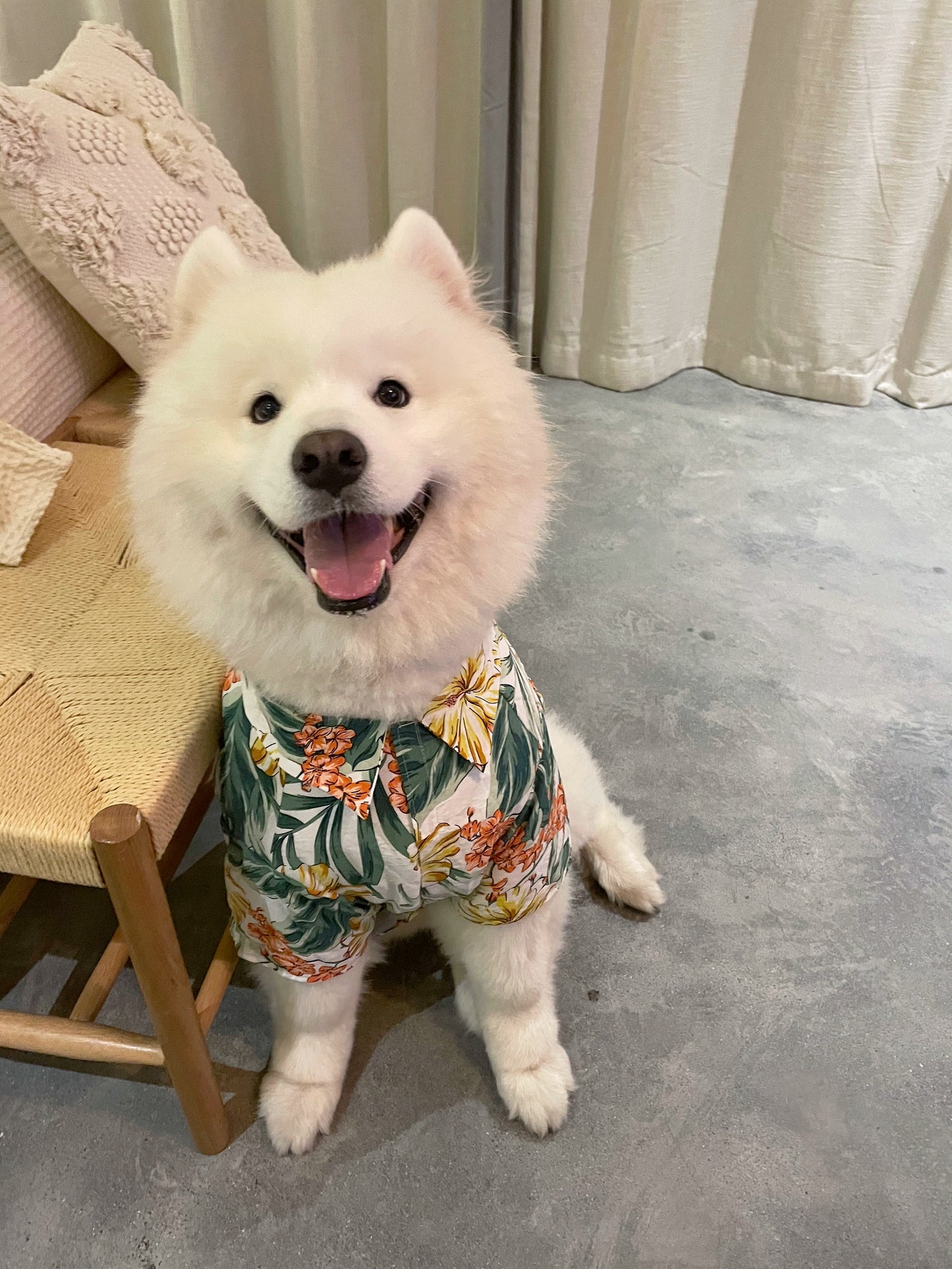 Dog Owner Parent-Child Clothes Hawaii Vacation Style Samoyed Golden Retriever/Border Collie Medium Large Dog Pet Clothes