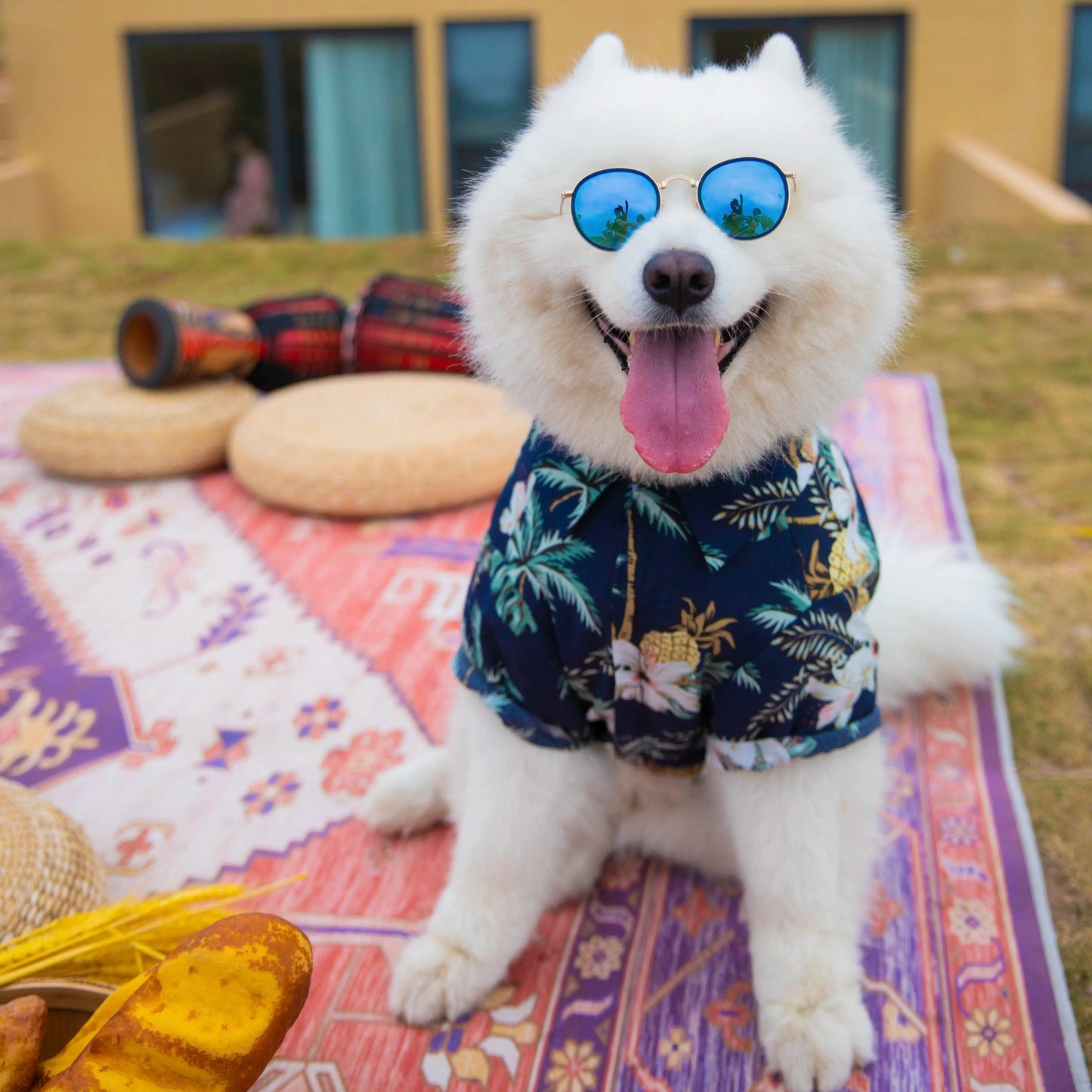 Dog Owner Parent-Child Clothes Hawaii Vacation Style Samoyed Golden Retriever/Border Collie Medium Large Dog Pet Clothes