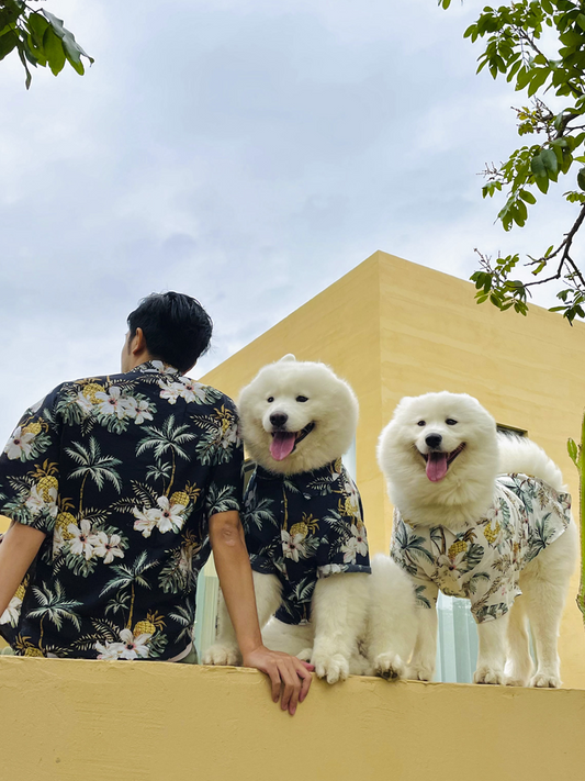 Dog Owner Parent-Child Clothes Hawaii Vacation Style Samoyed Golden Retriever/Border Collie Medium Large Dog Pet Clothes