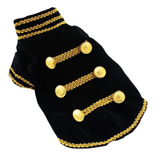 Handcrafted Velvet Dog Outfit with Gold Embroidery Double Breasted Buttons Vintage Pet Jacket - One Stop Shop 4 Pets