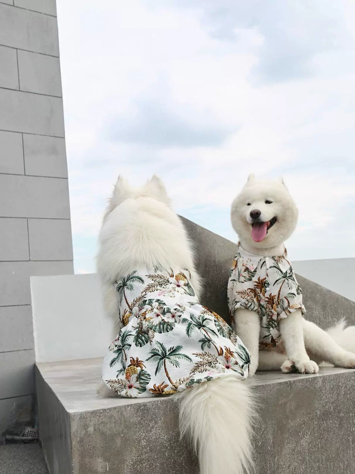 Dog Owner Parent-Child Clothes Hawaii Vacation Style Samoyed Golden Retriever/Border Collie Medium Large Dog Pet Clothes