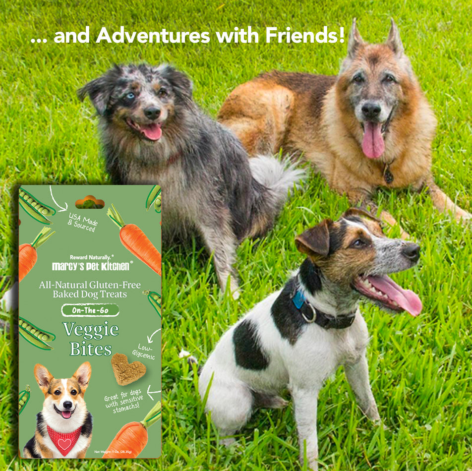 Marcy's Pet Kitchen® - 'On-The-Go' All-Natural, Vegan Veggie Biscuit 1 oz Healthy Dog Treats