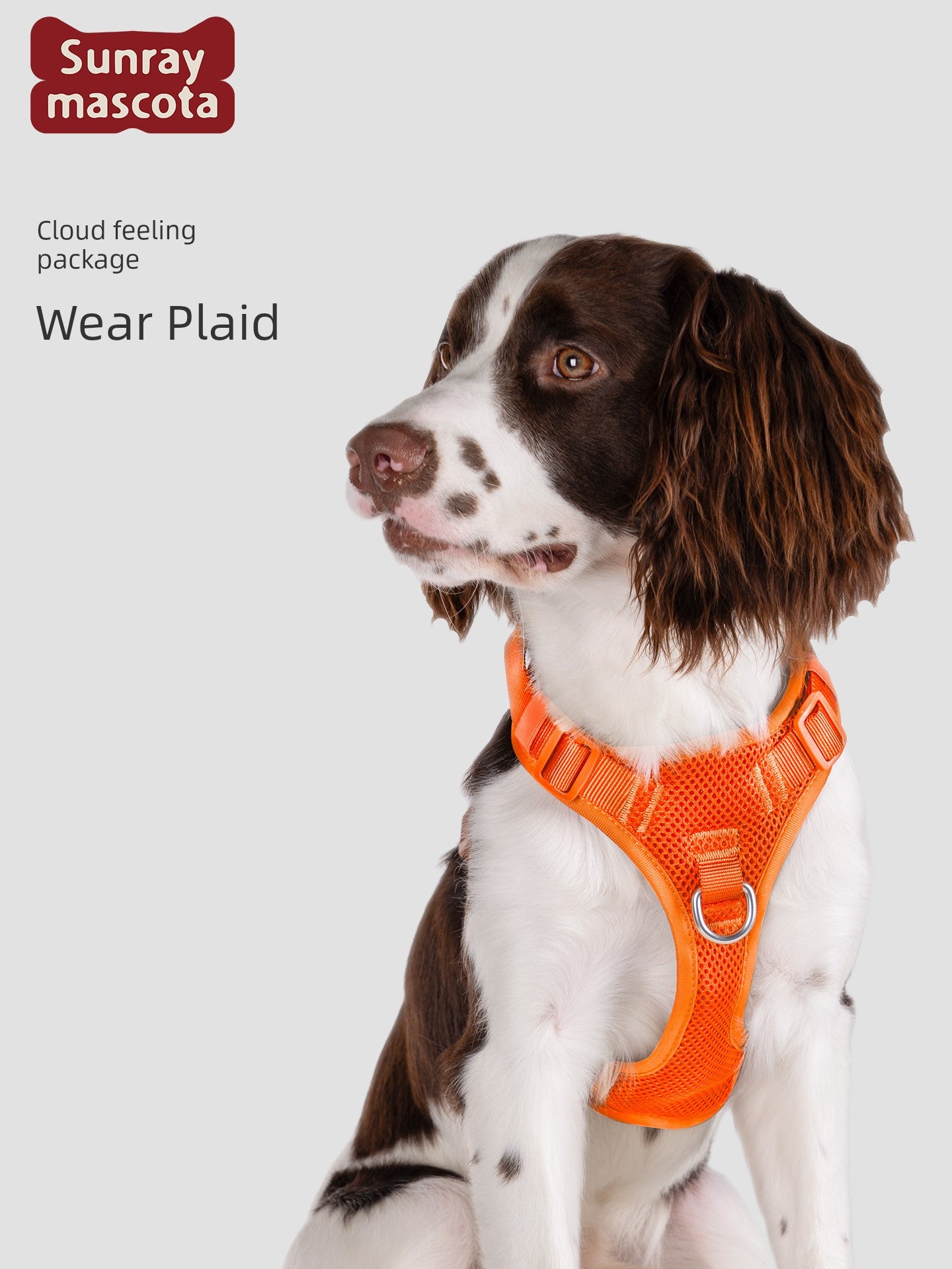 Sunraymascota Dog Breast Strap Pet Vest Vest Small and Medium-Sized Dogs Anti Breaking Loose Hand Holding Rope