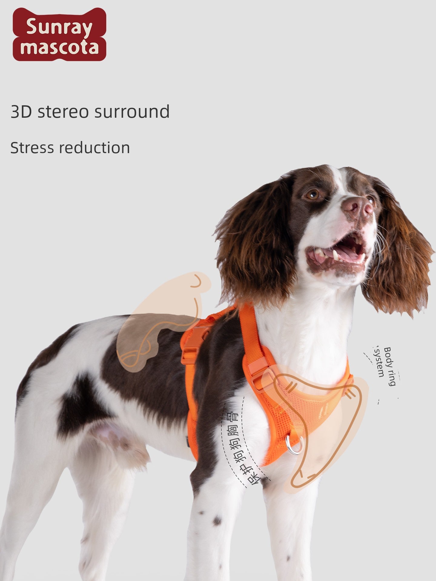 Sunraymascota Dog Breast Strap Pet Vest Vest Small and Medium-Sized Dogs Anti Breaking Loose Hand Holding Rope