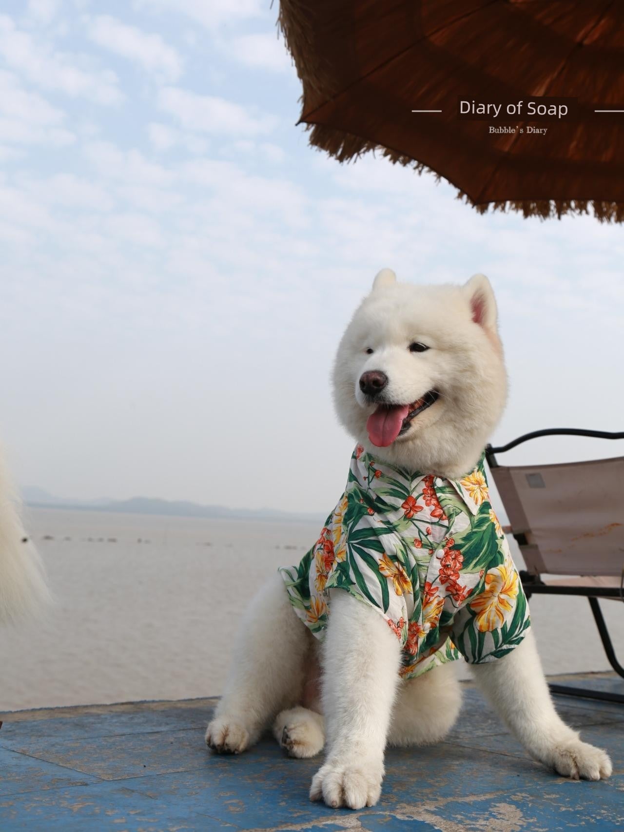 Dog Owner Parent-Child Clothes Hawaii Vacation Style Samoyed Golden Retriever/Border Collie Medium Large Dog Pet Clothes