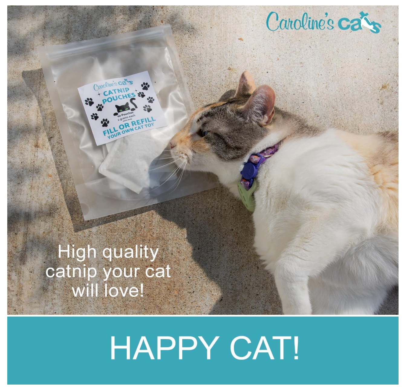 Caroline's Cats Organic Catnip Packets for Cat Toys – Refill Pouches for Flapping Bird, Flopping Fish, and More, 10 Tea Bags