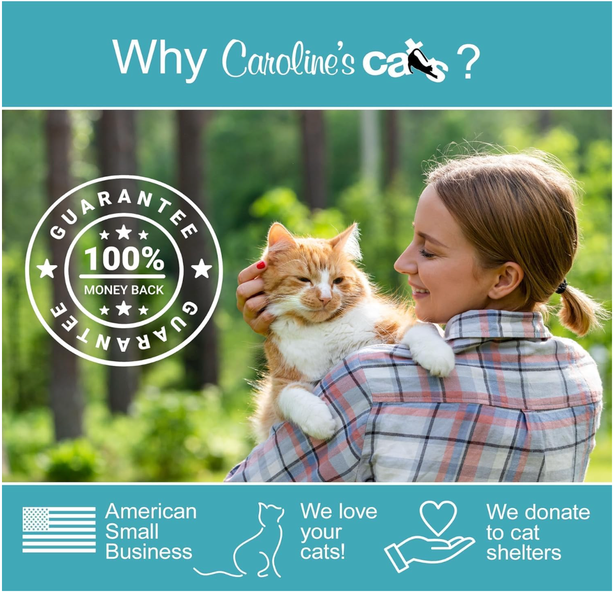 Caroline's Cats Automatic Butterfly Cat Toy – Interactive 2 in 1 with Auto Shut Off & Catnip Ball Track; Recommended Electric Exercise & Enrichment Game