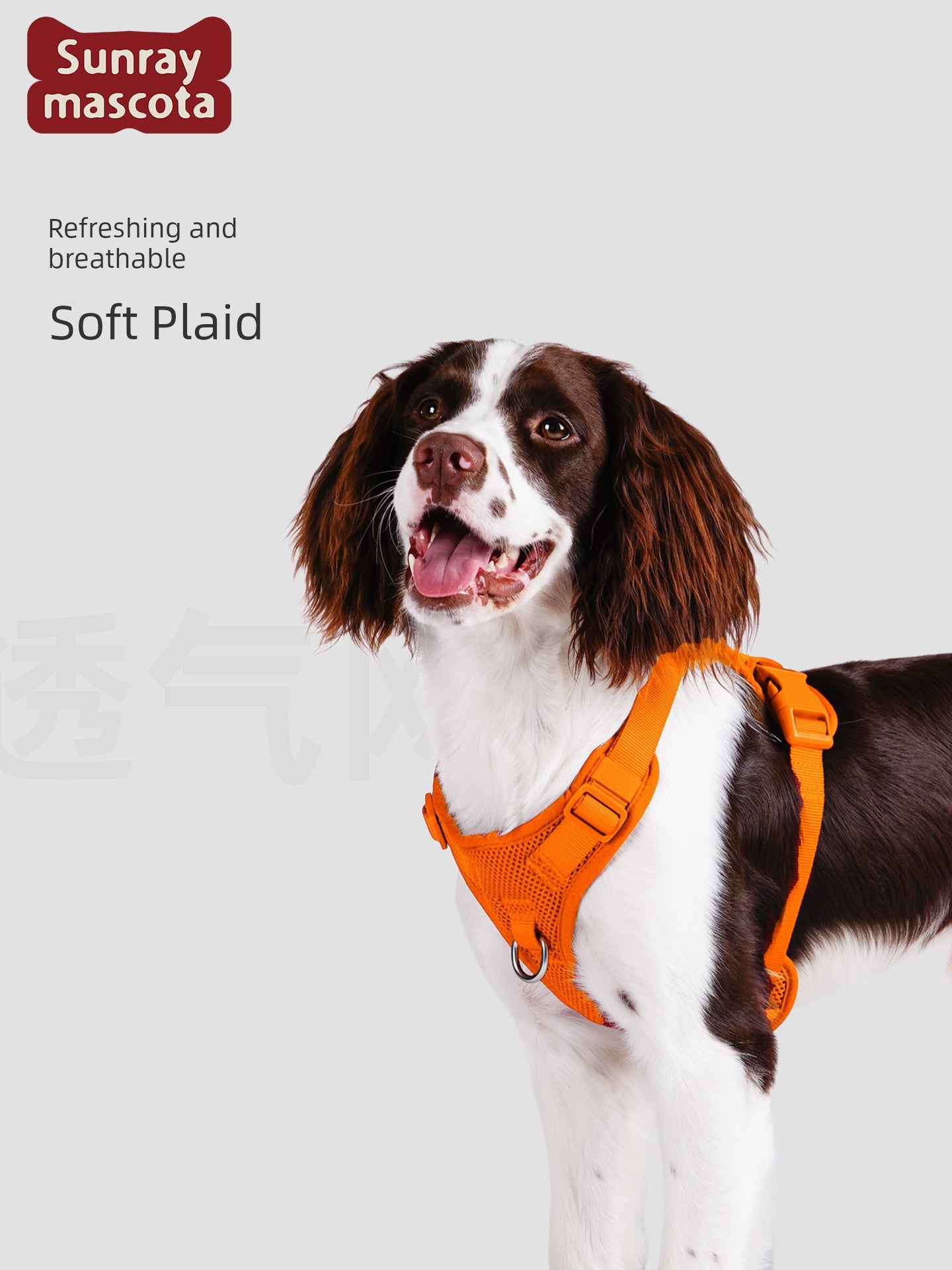 Sunraymascota Dog Breast Strap Pet Vest Vest Small and Medium-Sized Dogs Anti Breaking Loose Hand Holding Rope