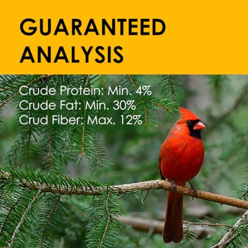 DD412 Heath Bird Suet Yellow 11.25 Ounce Pack of 12, Bird Food, Wildlife Feeding, Bulk Packaging, Simple Design, Durable Packaging, Plastic Container, Treat for Birds, Feeder Pack, Avian Caretakers, Wildlife Lovers