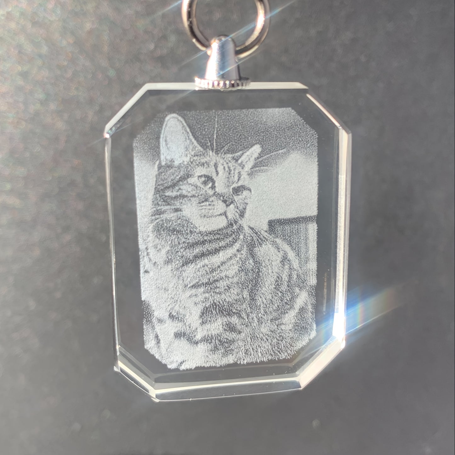 Personalized Cat Memorial Pendant Necklace – Custom Photo Locket with Durable Chain, Glass Keepsake for Pet Lovers, Unique Remembrance Gift for Cat Owners, Cat Jewelry