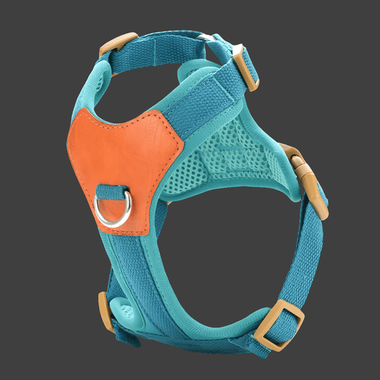 HP374 - Retro Pet Harness for dogs，Adjustable webbing and High - quality PU Leather，Breathable mesh lining. - One Stop Shop 4 Pets