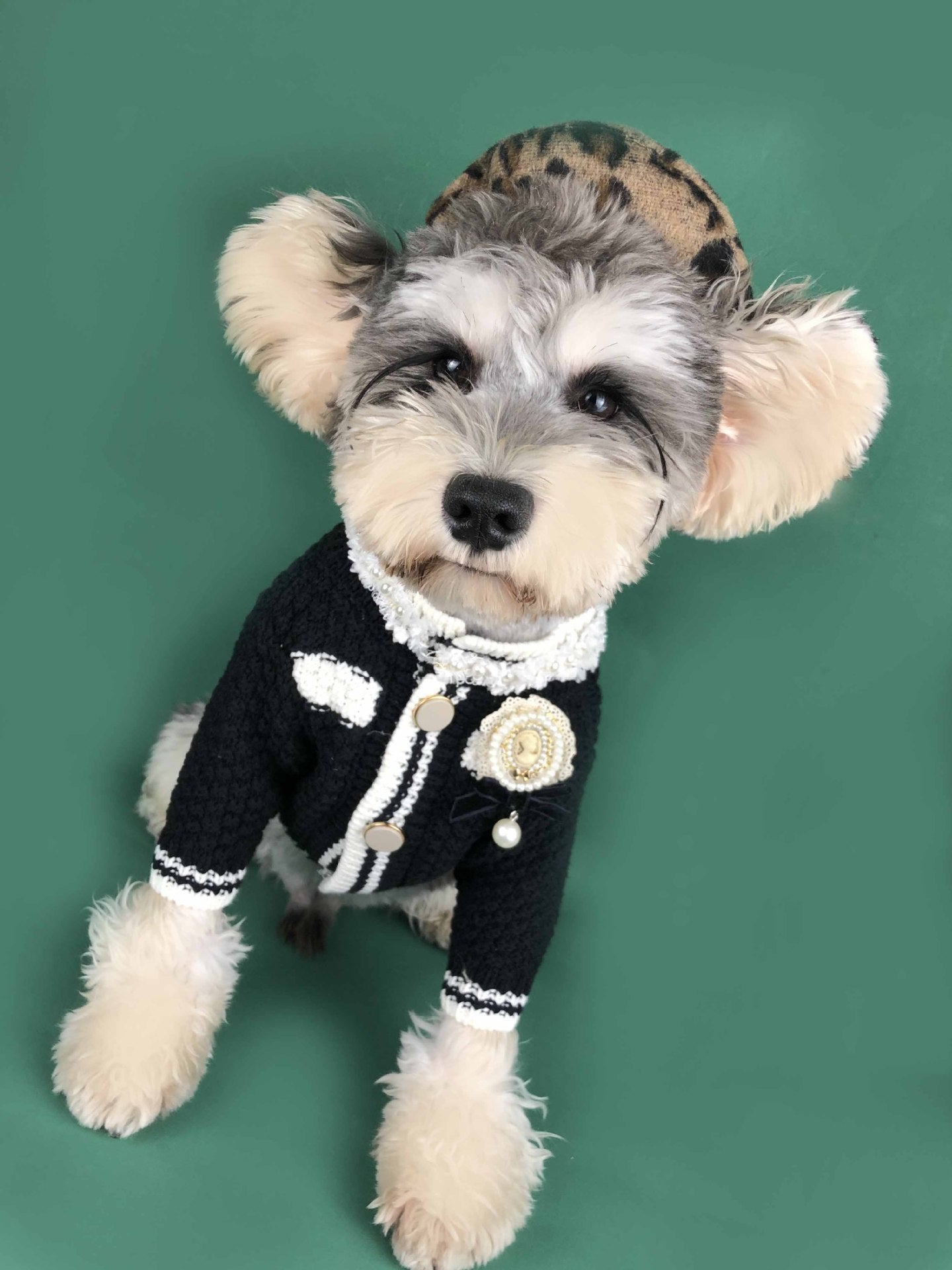Pet sweater kint fashion cardigan - One Stop Shop 4 Pets