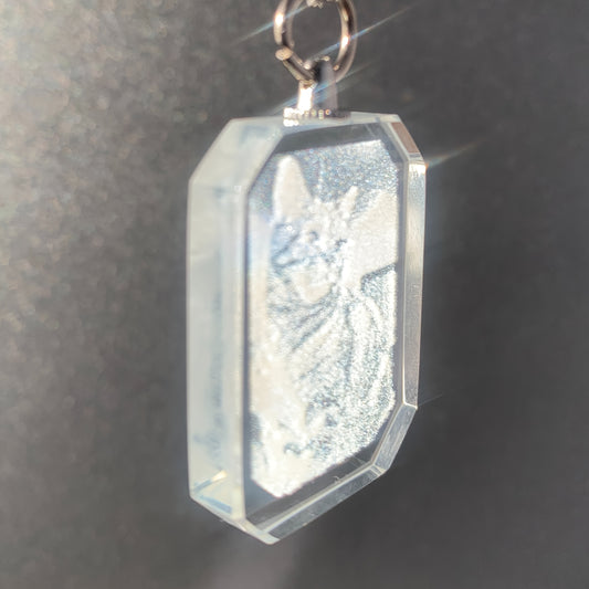 Personalized Cat Memorial Pendant Necklace – Custom Photo Locket with Durable Chain, Glass Keepsake for Pet Lovers, Unique Remembrance Gift for Cat Owners, Cat Jewelry