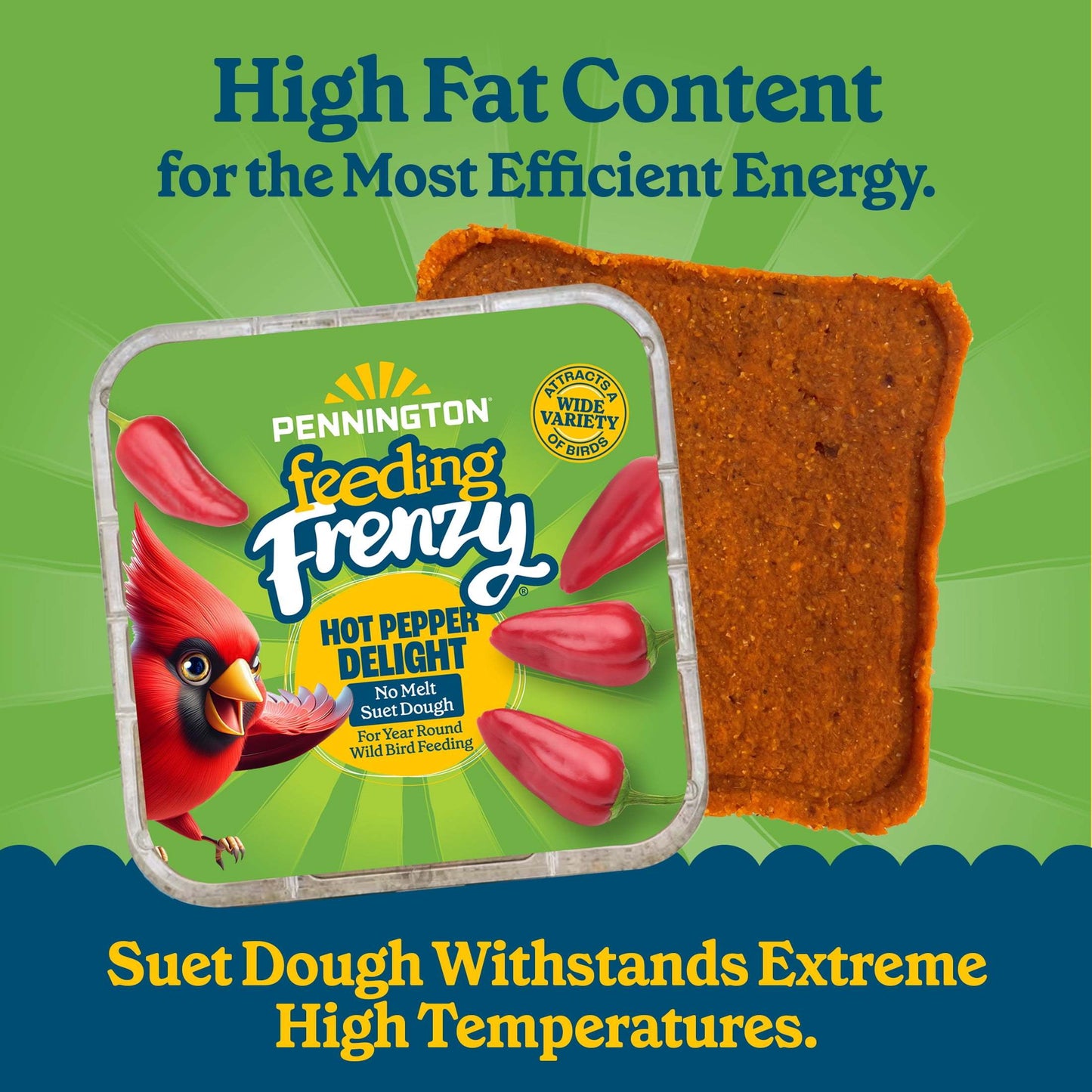 1 Pack No Melt Suet Dough Bird Food - Hot Pepper Formula with Red Pepper & Suet, High-Fat Wild Bird Suet Cake | Squirrel & Backyard Pest Deterrent, Attracts Cardinals, Wrens, Chickadees, Nuthatches | Year-Round Feeding, Easy-