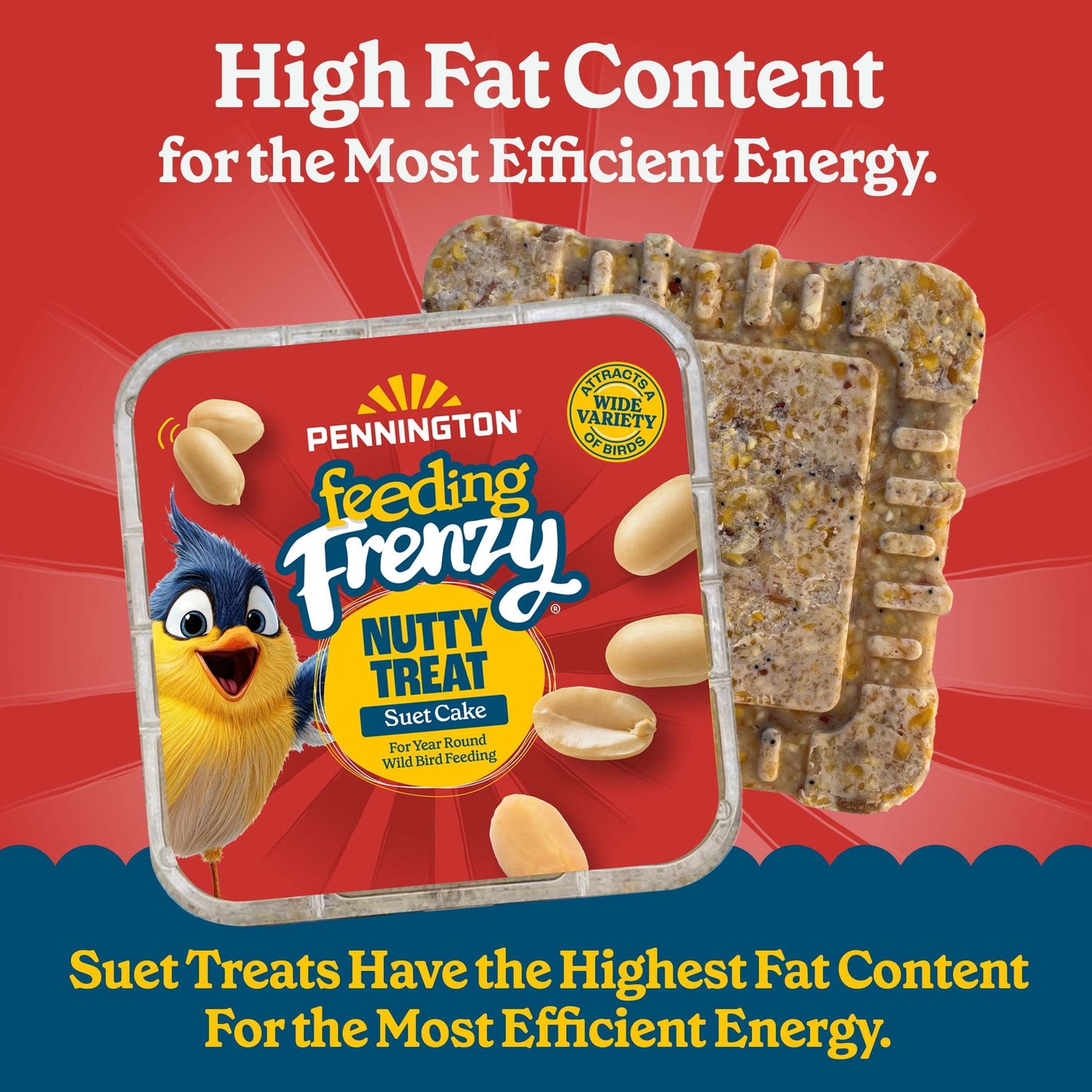 1 Pack (11.75oz) High-Fat Dry Suet Cakes - Nutty Flavor Wild Bird Food, Attracts Titmice, Nuthatches, Chickadees, Woodpeckers | No Waste Formula, Year-Round Feeding, Easy-to-Use Outdoor Treat for Backyard Bird Feeders | Batte