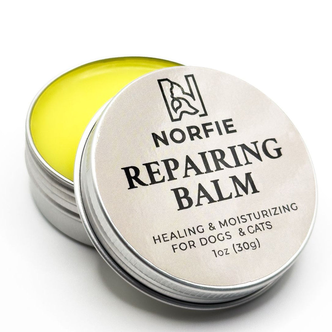 Norfie Repairing Balm  – Natural Healing Balm for Paws, Noses & Elbows