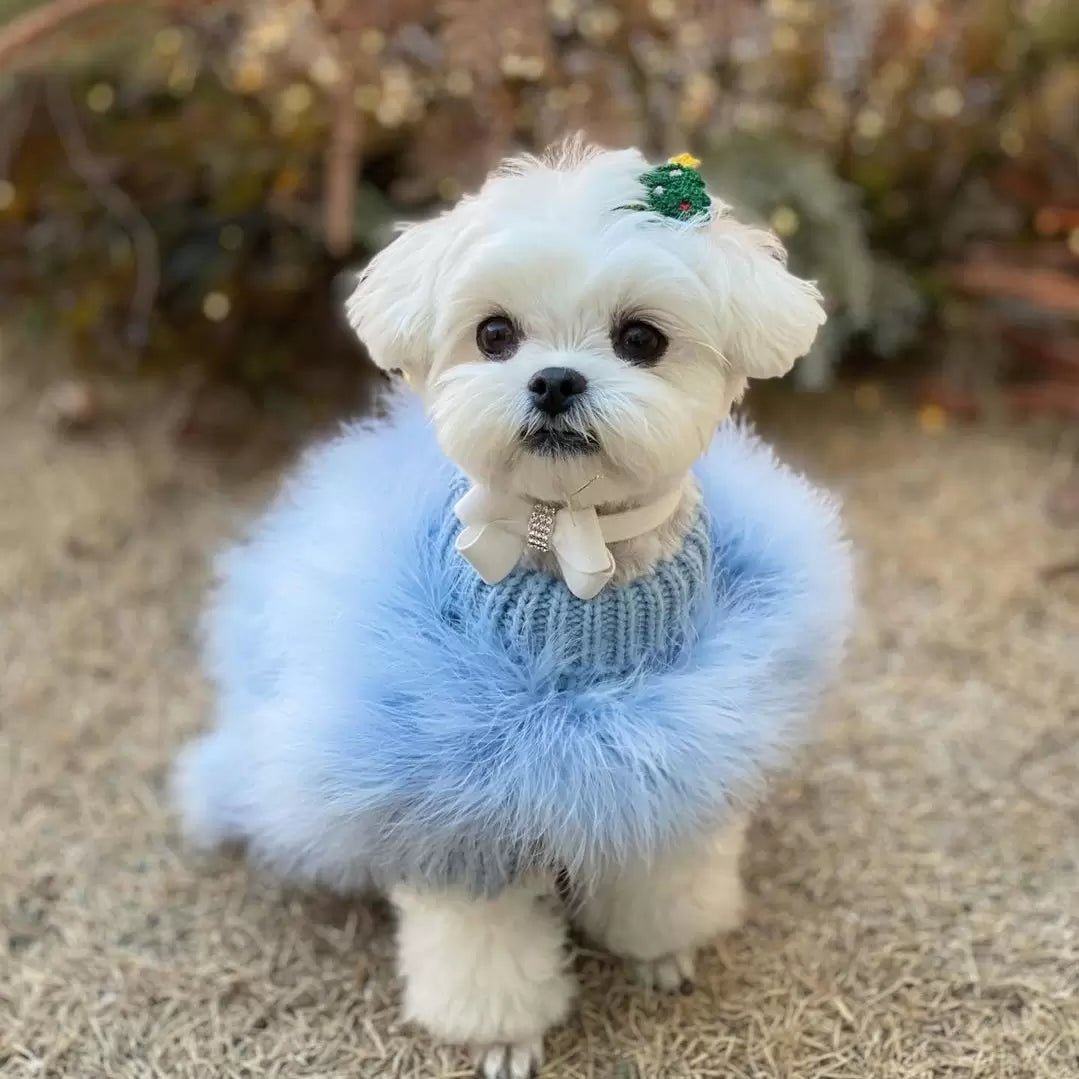 Haute Couture Feathered Luxury Pet Sweater - One Stop Shop 4 Pets