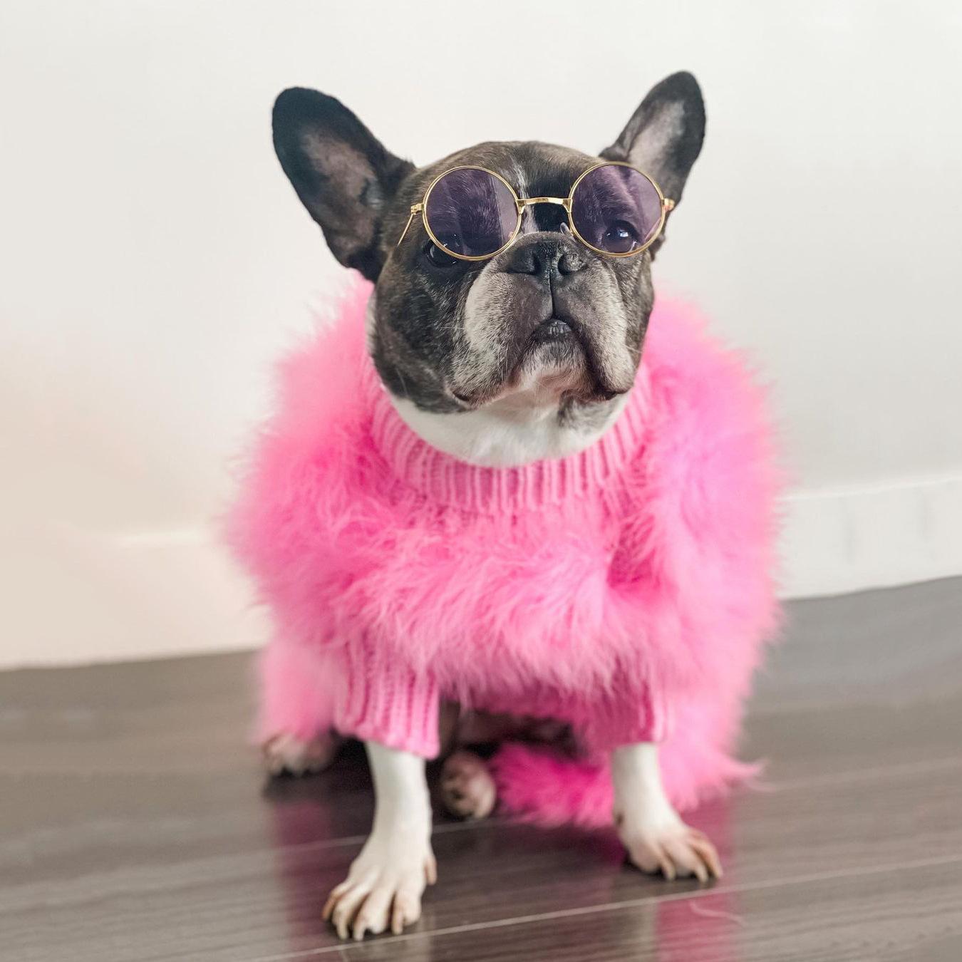 Haute Couture Feathered Luxury Pet Sweater - One Stop Shop 4 Pets
